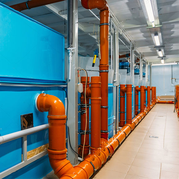 养殖循环水处理